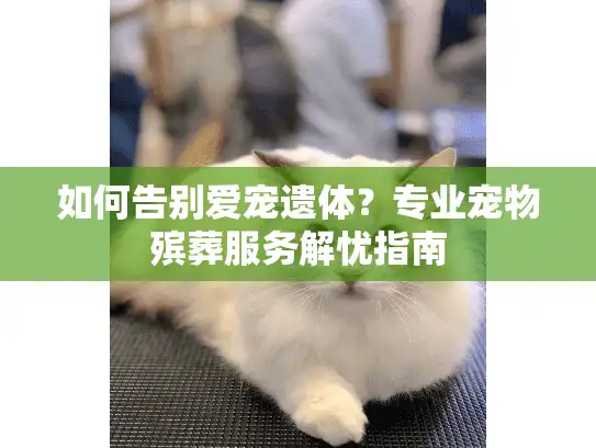 如何告别爱宠遗体？专业宠物殡葬服务解忧指南