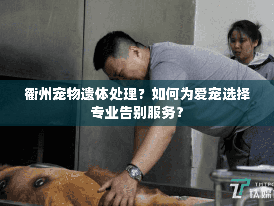 衢州宠物遗体处理?如何为爱宠选择专业告别服务? 衢州宠物遗体处理?如何为爱宠选择专业告别服务?