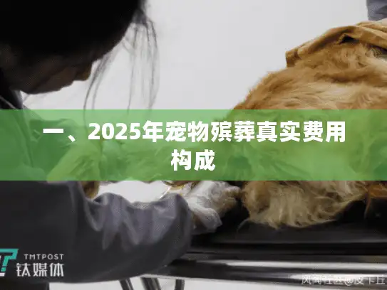 一、2025年宠物殡葬真实费用构成