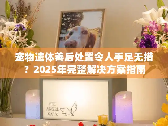 宠物遗体善后处置令人手足无措？2025年完整解决方案指南