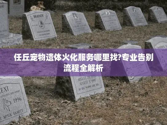 任丘宠物遗体火化服务哪里找?专业告别流程全解析 任丘宠物遗体火化服务哪里找?专业告别流程全解析