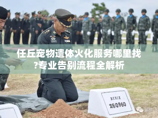 任丘宠物遗体火化服务哪里找?专业告别流程全解析 任丘宠物遗体火化服务哪里找?专业告别流程全解析