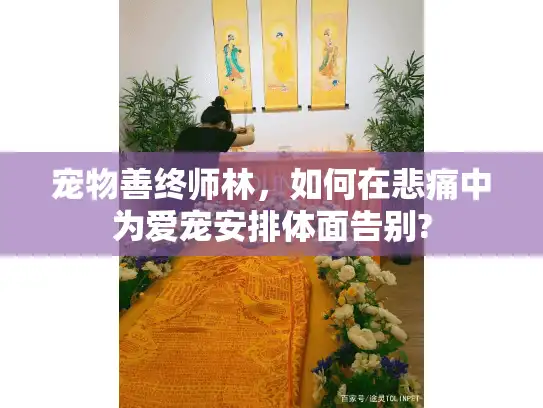 宠物善终师林,如何在悲痛中为爱宠安排体面告别? 宠物善终师林,如何在悲痛中为爱宠安排体面告别?