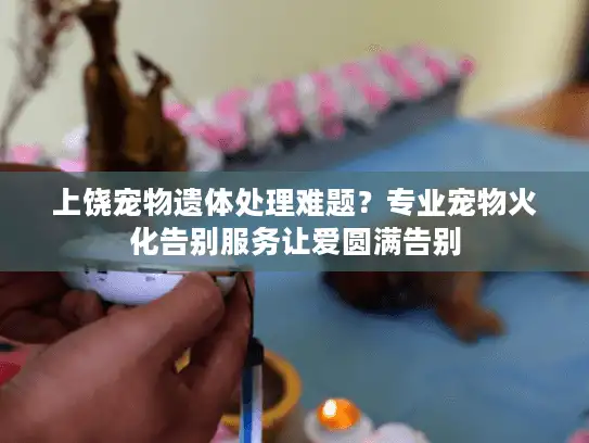 上饶宠物遗体处理难题？专业宠物火化告别服务让爱圆满告别