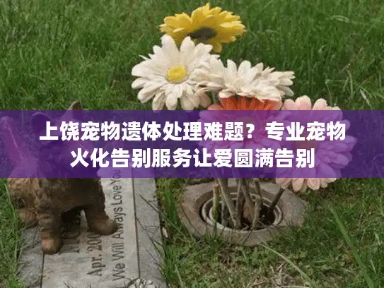上饶宠物遗体处理难题？专业宠物火化告别服务让爱圆满告别