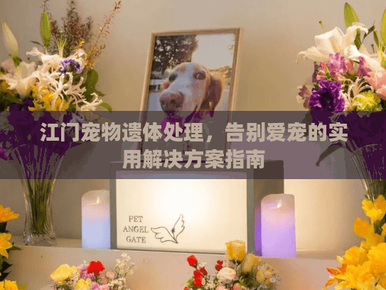 江门宠物遗体处理，告别爱宠的实用解决方案指南