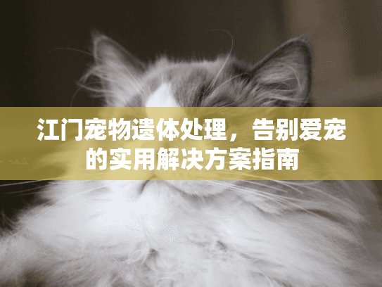 江门宠物遗体处理，告别爱宠的实用解决方案指南