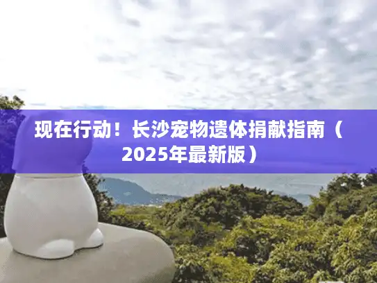 现在行动！长沙宠物遗体捐献指南（2025年最新版）