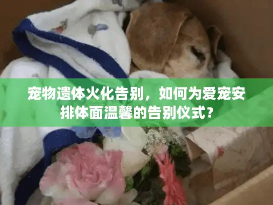 宠物遗体火化告别，如何为爱宠安排体面温馨的告别仪式？