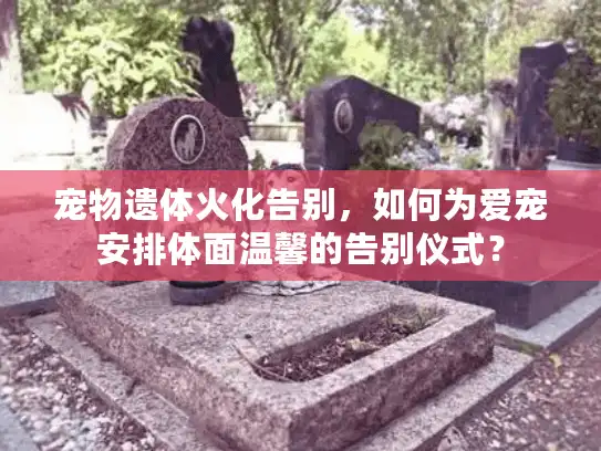 宠物遗体火化告别，如何为爱宠安排体面温馨的告别仪式？