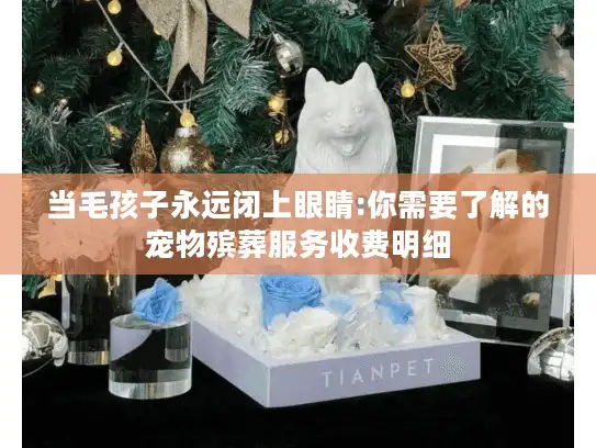 当毛孩子永远闭上眼睛:你需要了解的宠物殡葬服务收费明细 当毛孩子永远闭上眼睛:你需要了解的宠物殡葬服务收费明细