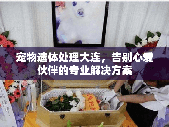 宠物遗体处理大连，告别心爱伙伴的专业解决方案