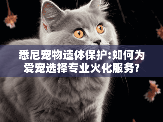 悉尼宠物遗体保护:如何为爱宠选择专业火化服务?