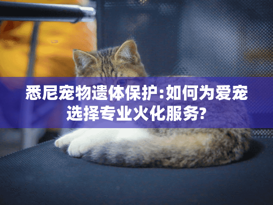 悉尼宠物遗体保护:如何为爱宠选择专业火化服务?