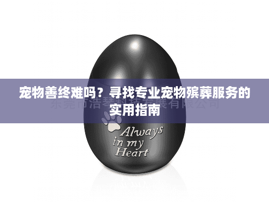 宠物善终难吗？寻找专业宠物殡葬服务的实用指南