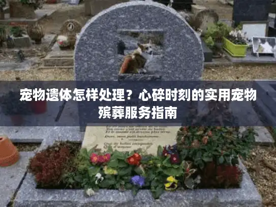 宠物遗体怎样处理？心碎时刻的实用宠物殡葬服务指南