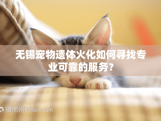 无锡宠物遗体火化如何寻找专业可靠的服务? 无锡宠物遗体火化如何寻找专业可靠的服务?