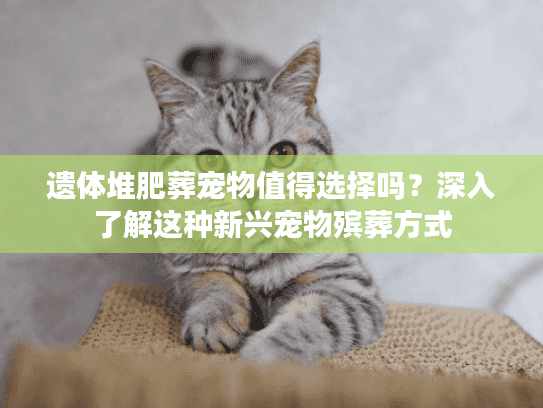 遗体堆肥葬宠物值得选择吗？深入了解这种新兴宠物殡葬方式