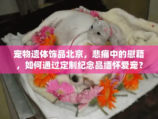 宠物遗体饰品北京，悲痛中的慰藉，如何通过定制纪念品缅怀爱宠？