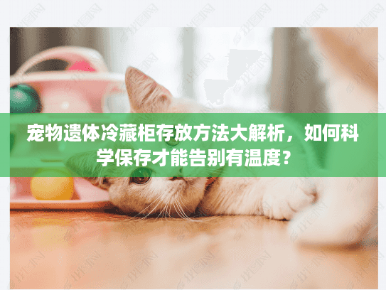 宠物遗体冷藏柜存放方法大解析,如何科学保存才能告别有温度? 宠物遗体冷藏柜存放方法大解析,如何科学保存才能告别有温度?