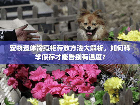 宠物遗体冷藏柜存放方法大解析,如何科学保存才能告别有温度? 宠物遗体冷藏柜存放方法大解析,如何科学保存才能告别有温度?