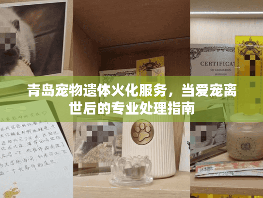 青岛宠物遗体火化服务，当爱宠离世后的专业处理指南