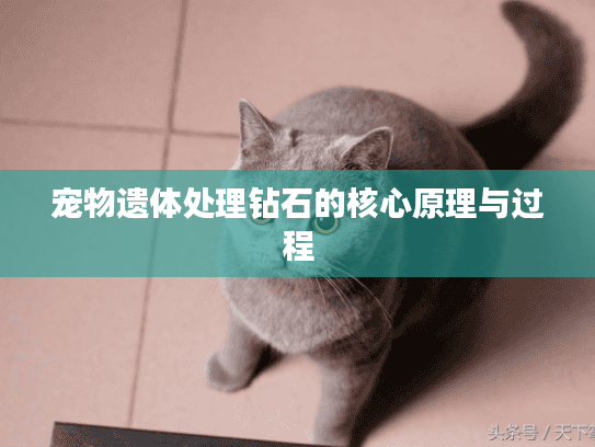 宠物遗体处理钻石的核心原理与过程