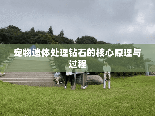 宠物遗体处理钻石的核心原理与过程