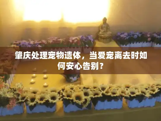 肇庆处理宠物遗体,当爱宠离去时如何安心告别? 肇庆处理宠物遗体,当爱宠离去时如何安心告别?