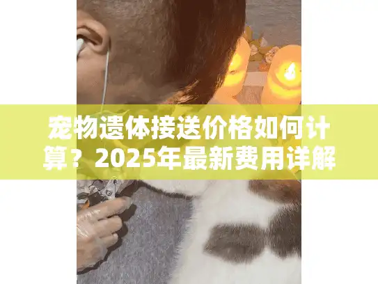 宠物遗体接送价格如何计算?2025年最新费用详解 宠物遗体接送价格如何计算?2025年最新费用详解