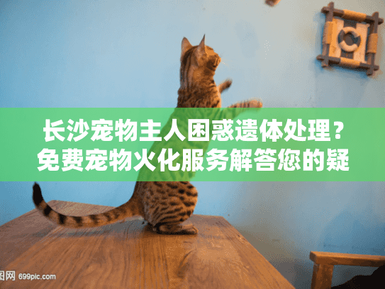 长沙宠物主人困惑遗体处理?免费宠物火化服务解答您的疑问 长沙宠物主人困惑遗体处理?免费宠物火化服务解答您的疑问