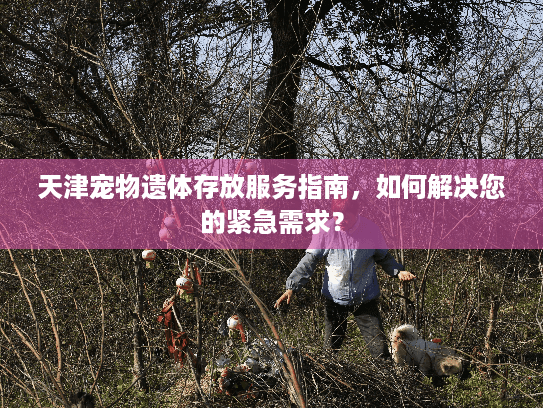 天津宠物遗体存放服务指南,如何解决您的紧急需求? 天津宠物遗体存放服务指南,如何解决您的紧急需求?