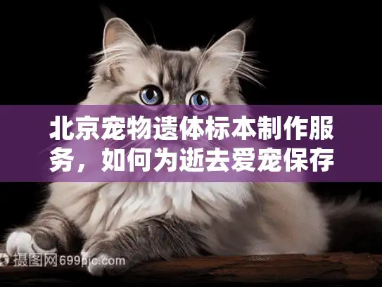 北京宠物遗体标本制作服务,如何为逝去爱宠保存珍贵记忆? 北京宠物遗体标本制作服务,如何为逝去爱宠保存珍贵记忆?