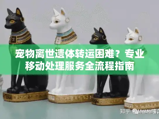 宠物离世遗体转运困难?专业移动处理服务全流程指南 宠物离世遗体转运困难?专业移动处理服务全流程指南