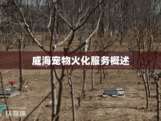 威海宠物火化服务概述 威海宠物火化服务概述