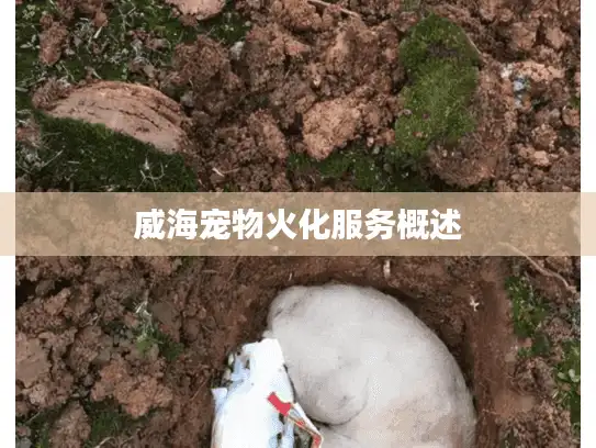 威海宠物火化服务概述 威海宠物火化服务概述