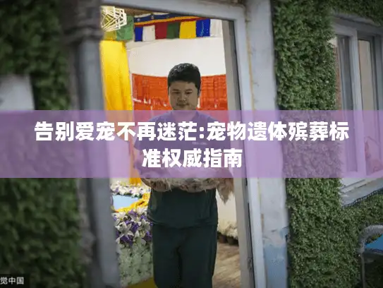 告别爱宠不再迷茫:宠物遗体殡葬标准权威指南 告别爱宠不再迷茫:宠物遗体殡葬标准权威指南