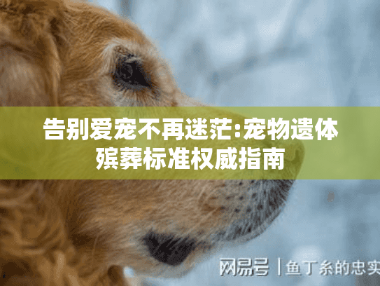 告别爱宠不再迷茫:宠物遗体殡葬标准权威指南 告别爱宠不再迷茫:宠物遗体殡葬标准权威指南