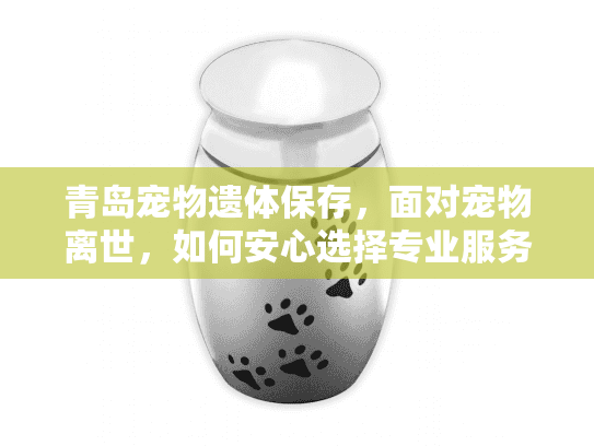 青岛宠物遗体保存，面对宠物离世，如何安心选择专业服务？