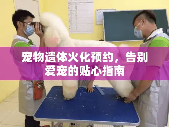 宠物遗体火化预约,告别爱宠的贴心指南 宠物遗体火化预约,告别爱宠的贴心指南