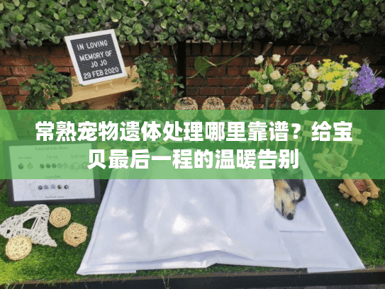 常熟宠物遗体处理哪里靠谱？给宝贝最后一程的温暖告别