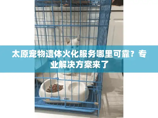 太原宠物遗体火化服务哪里可靠?专业解决方案来了 太原宠物遗体火化服务哪里可靠?专业解决方案来了
