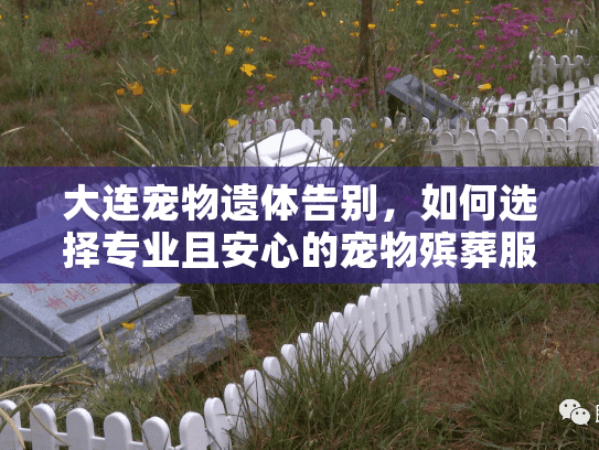 大连宠物遗体告别，如何选择专业且安心的宠物殡葬服务？