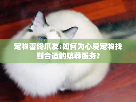 宠物善终爪友:如何为心爱宠物找到合适的殡葬服务?