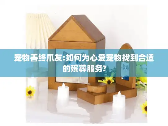 宠物善终爪友:如何为心爱宠物找到合适的殡葬服务?