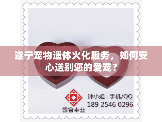 遂宁宠物遗体火化服务，如何安心送别您的爱宠？