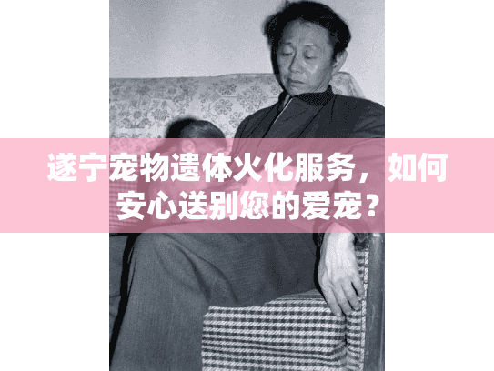 遂宁宠物遗体火化服务，如何安心送别您的爱宠？