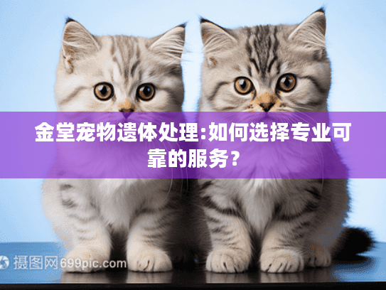 金堂宠物遗体处理:如何选择专业可靠的服务？