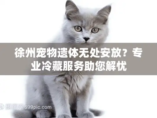 徐州宠物遗体无处安放？专业冷藏服务助您解忧