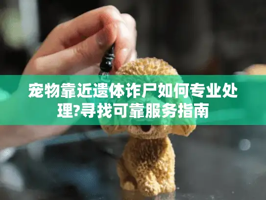 宠物靠近遗体诈尸如何专业处理?寻找可靠服务指南